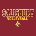 Salisbury Volleyball 2025