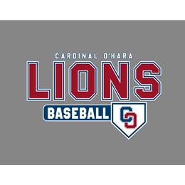Custom Store for O'Hara Baseball 2024