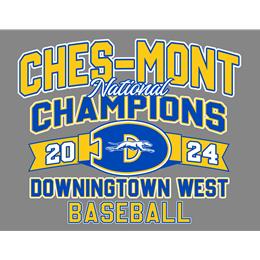 Custom Store for DWest Baseball Champions 2024