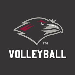 Custom Store for Rosemont Volleyball 2024