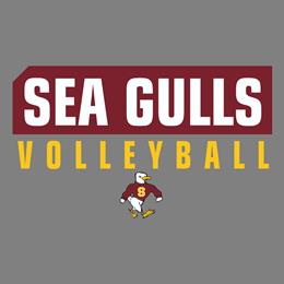 Custom Store for Salisbury Volleyball 2024
