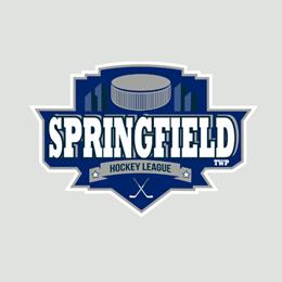 Custom Store for Springfield Township Hockey league