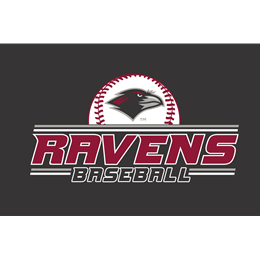 Custom Store for Rosemont Baseball Holiday 2024