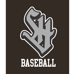 Custom Store for Strath Haven Baseball 2025