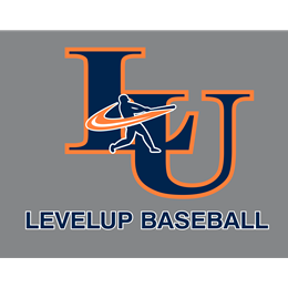 
                                        Custom Store for Level Up Baseball